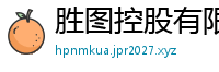 胜图控股有限公司